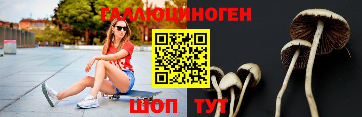 Галлюциногенные грибы GOLDEN TEACHER Екатеринбург