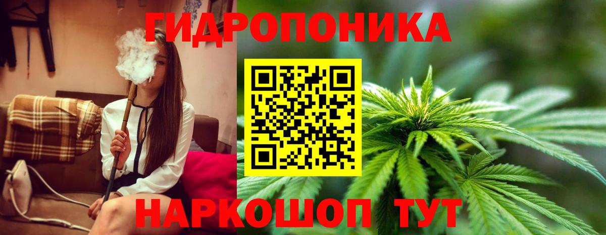 Марихуана конопля Екатеринбург